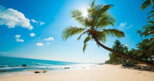 Tai Phong Tien Phu Quoc Hotel Zewnętrze zdjęcie